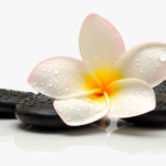 104-1047232_flor-spa-png-transparent-png